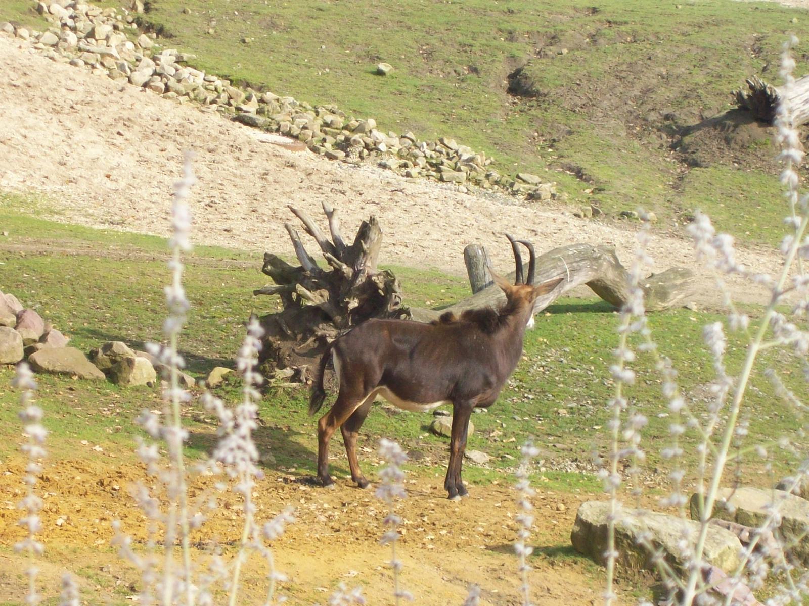 Zoom 18.10.2008-073.jpg